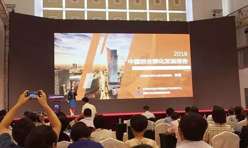 創(chuàng)業(yè)孵化 有“創(chuàng)”更得有“孵”，論孵化器管理服務(wù)的核心價值